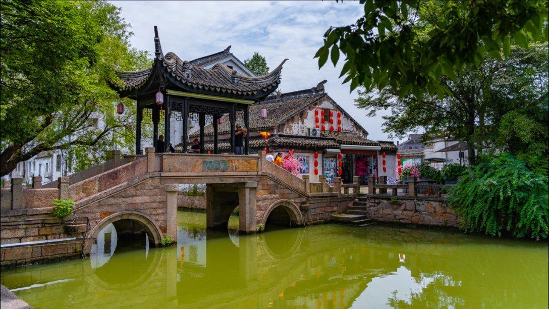 小鸡要回家